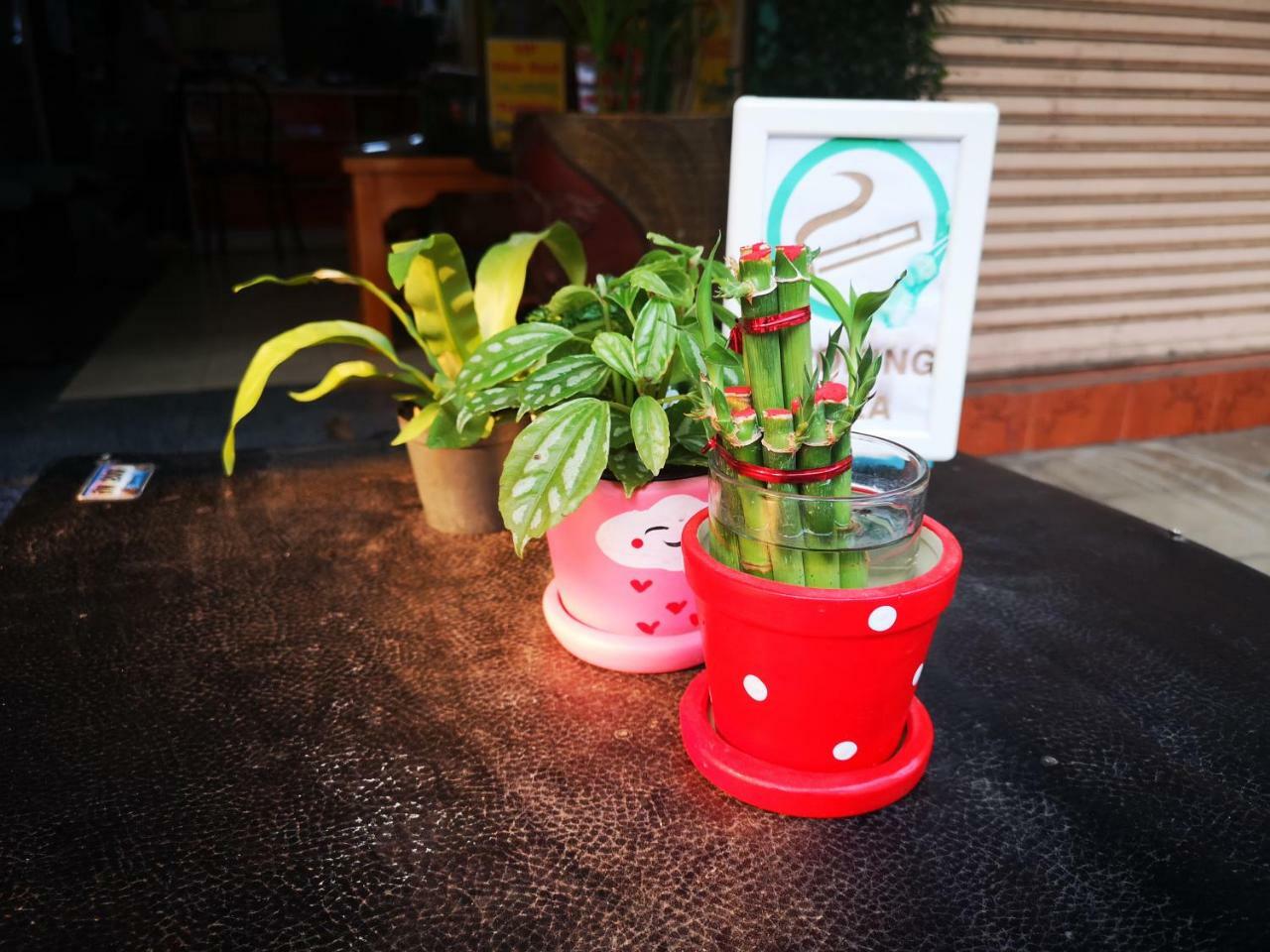 Sofia Hostel Чианг Рай Екстериор снимка